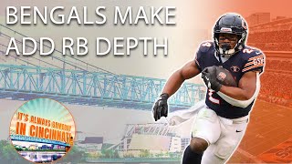 Bengals Add RB Depth  Its Always Gameday In Cincinnati [upl. by Zonda224]