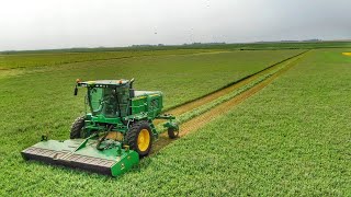 SelfPropelled W260 Swathing Alfalfa [upl. by Kcirednek]