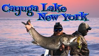 Dropping the jigs down for some Cayuga lake trout Cayuga Lake NY [upl. by Zetrok]