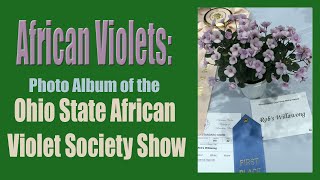 2019 Ohio State African Violet Society Show Photo Album [upl. by Ydennek425]