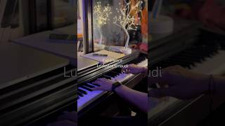 Experience  Ludovico Einaudi piano experience pianomusic ludovicoeinaudi pianocover fyp [upl. by Kleper]