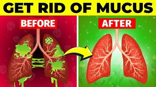 The Ultimate Guide to Removing Mucus from Your Lungs and Clearing Your Respiratory System MucusFree [upl. by Anurag]