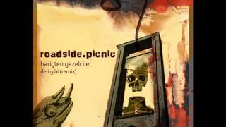 Hariçten Gazelciler  Deli Gibi roadside​​picnic remix [upl. by Reider]