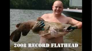 Catfish Noodling World Record [upl. by Damon]