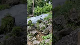 Lake Taneycomo Outfall fishing missouri shorts [upl. by Gough896]