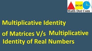 Multiplicative Identity of a Matrix  Identity Matrix  Math Dot Com [upl. by Lamdin461]