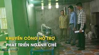 Khuyến công hỗ trợ phát triển ngành chè  Thái Nguyên TV [upl. by Tamah]