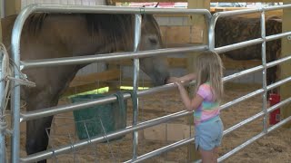 Daytime LIVE at the Greene County FairPart 2 [upl. by Candida955]