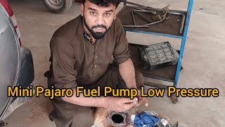 Mini Pajaro Fuel Pump Low Pressure [upl. by Malina727]