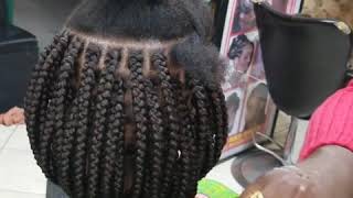 BOX BRAID BOB [upl. by Brote]