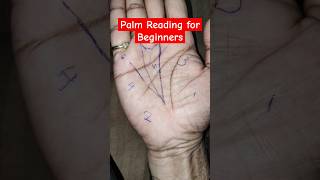 How to Read Your Palms astrology palmistry palmreading jyotish kundali shortsfeed [upl. by Alyakem]