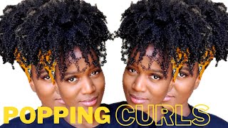 How To Denman Wash n Go Routine for Defined Curls [upl. by Ttesil]