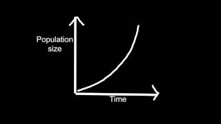 534 List three factors that set limits to population increase [upl. by Llenrad469]