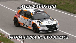 SALITA PEDAVENA  CROCE DAUNE 2024  ALEX DAGOSTINI  SKODA FABIA R5 EVO RALLY2  BY BELLUNOVIDEO [upl. by Nodyarg]