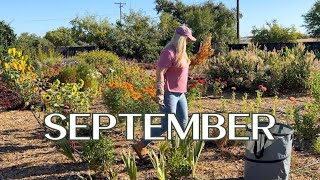 🌷September Garden Tasks 🌷Bulbs Fertilizing Deadheading amp Planting [upl. by Enelegna]