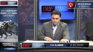 DRF Breeding Report  Early Kentucky Derby amp Oaks Contenders [upl. by Seema956]