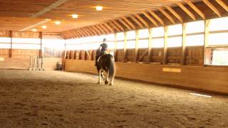 Clydesdale Dressage  Crusader [upl. by Piscatelli]