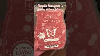 Scentsy Wax Review in 60  Berry Good Pumpkin scentsywax scentsyclub scentsy [upl. by Ynaffad]