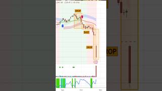 🚨 IndusInd Bank CRASHES 19 😱 Did Technical Analysis WARN Us 📉 Fundamental Analysis FAILED [upl. by Aititel445]