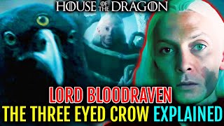 Blood Raven Explored  House Of The Dragons Most Mysterious Mystical And Ultra Powerful Character [upl. by Nevlin]