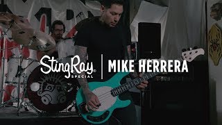 Ernie Ball Music Man Stingray Special Bass  Mike Herrera Demo amp Discussion [upl. by Stacie]