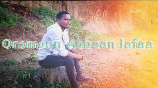 Remix Geerarsa Damisee Bantii Afaan Oromoo music 2024 [upl. by Necila]