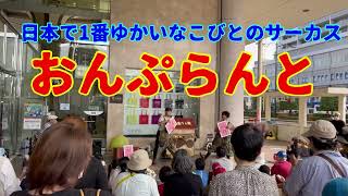 日本で1番ゆかいなこびとのサーカス大道芸人おんぷらんと♪♫は超愉快❣️ [upl. by Engeddi48]