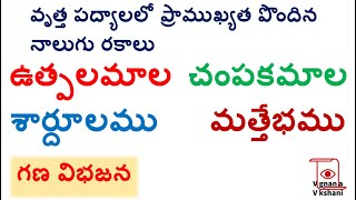 Utpalamala champakamala shardulam mattebham lakshanalu in telugu chandassu  శార్దూలము  మత్తేభము [upl. by Atronna]