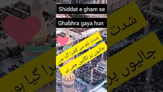 Shiddat E Gham Se Ghabra Gaya Hun l Jaliyo Par Nigahe Jamee He 🌹🌴 [upl. by Eimilb321]