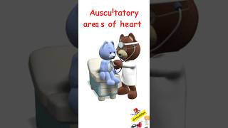 Heart auscultation auscultatory areas of heart [upl. by Elayor]