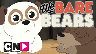 We Bare Bears  Pet Shop  Cartoon Network [upl. by Eetnom120]