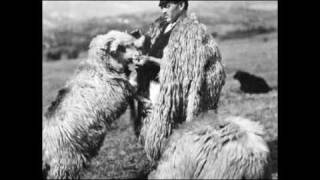 Sârbă ciobănească  Pastoral dance [upl. by Innus]