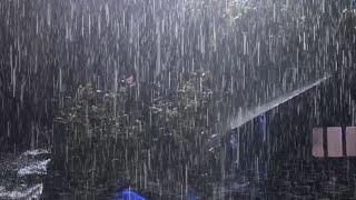 Sleep Instantly With Rain Sounds amp Thunder At Night  Heavy Rain on a Tin Roof For Sleeping 247 [upl. by Anaoj]