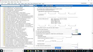 Comprehensive Problem 1 Entering Itemized Deductions [upl. by Mcgaw]