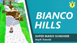 Bianco Hills  SMS Any Tutorial 7 [upl. by Ahtenak]