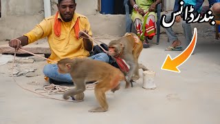 Haryanvi Bandar Bandriya Ka Khel  Funny Video  Comedy Video [upl. by Dehnel722]