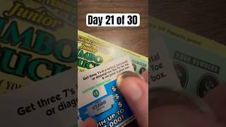 Lottery Result Day 21 🏆scratchofftickets scratchcards lottoresulttoday [upl. by Esilrahc122]