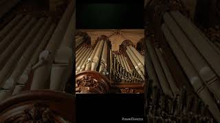 Notre Dame inauguration 7122024 danilo w roman improvisation classic and modern andoltre [upl. by Eimar]