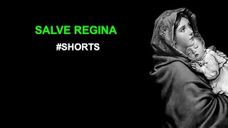 Salve Regina shorts [upl. by Refannej13]