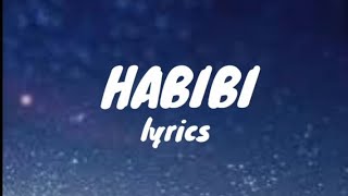 Habibi Song Lyrics 🎶  Full lyrical Video [upl. by Burrus]