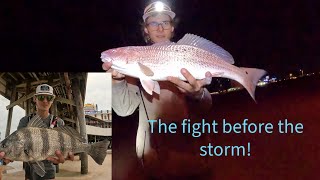 Storm Surge Secrets Targeting Reds amp Black Drum Before They Disappear Florida Fishing [upl. by Ataynek731]