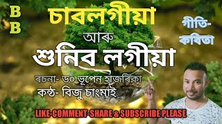 GITIKOBITA গীতিকবিতা BIJU VLOG [upl. by Casandra]