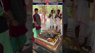 Kaal Sarp Dosh Nivaran Puja in Trimbakeshwar Pandit Raj Guruji  7887878081 kalsarp shortvideo [upl. by Damalus663]