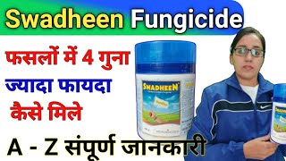 How to use swadheen fungicide  tebuconazole 10 sulphur 65 wg  contactampsystemic fungicide [upl. by Yokum]