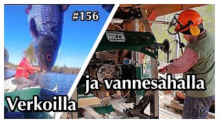 Kesän ekat verkot Tukkivannesahaus Woodlandmills kalastus omavaraisuus verkkokalastus [upl. by Flossi193]