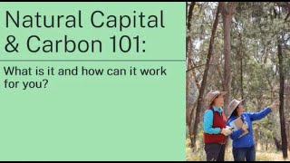 Natural Capital and Carbon Markets 101 in the Murray and Riverina  Lunch and Learn [upl. by Rainer]