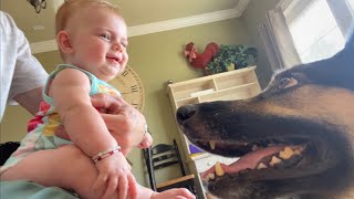 Baby and German Shepard Make the Cutest Connection [upl. by Ttehc]