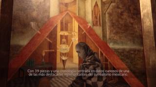 Remedios Varo en el Museo de Arte Moderno [upl. by Artemus]