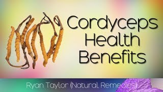 Cordyceps Benefits for Health [upl. by Remus729]