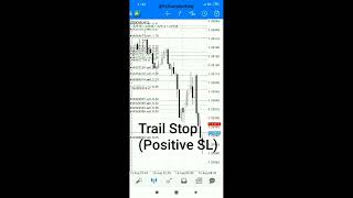 Master MT4 in 12 Minutes FULL TUTORIAL For Android For Forex Trading [upl. by Amaryl]